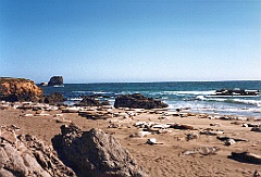 1997 - USA 010 (Entre San Francisco et Los Angeles, vers Big Sur - Route 101)